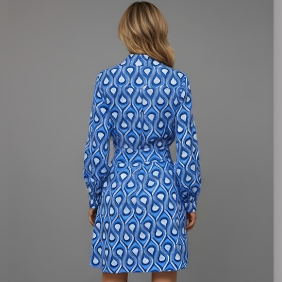 Blue and White Print Shirt Dress - Picture 4 of 9